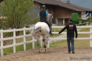 Desmond O'Brien - Klassische Dressur & Damensattel in Imst