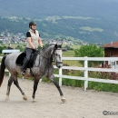 Maestoso Alea - 1. Reitkurs bei Desmond O'Brien