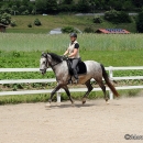 Maestoso Alea - 1. Reitkurs bei Desmond O'Brien