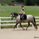 Maestoso Alea - 1. Reitkurs bei Desmond O'Brien