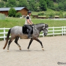 Maestoso Alea - 1. Reitkurs bei Desmond O'Brien