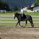 Maestoso Alea - 1. Reitkurs bei Desmond O'Brien