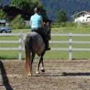 Maestoso Alea - 1. Reitkurs bei Desmond O'Brien