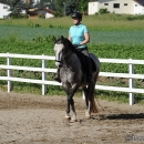 Maestoso Alea - 1. Reitkurs bei Desmond O'Brien