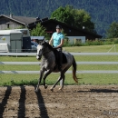 Maestoso Alea - 1. Reitkurs bei Desmond O'Brien