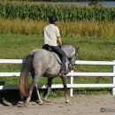September 2011 Desmond O'Brien Kurs