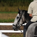 September 2011 Desmond O'Brien Kurs