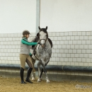 Reitkurs Ruth Giffels Mai 2013