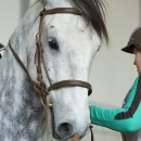 Reitkurs Ruth Giffels Mai 2013