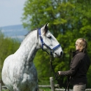 Reitkurs Ruth Giffels Mai 2013