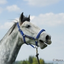 Reitkurs Ruth Giffels Mai 2013