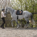 Ronja 2008