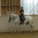 Barockes Reiten mit Richard Hinrichs - Juli 2010