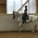 Barockes Reiten mit Richard Hinrichs - Juli 2010