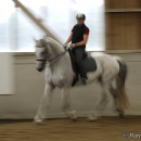 Barockes Reiten mit Richard Hinrichs - Juli 2010