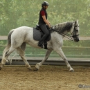 Barockes Reiten mit Richard Hinrichs - Juli 2010