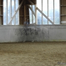Barockes Reiten mit Richard Hinrichs - Juli 2010