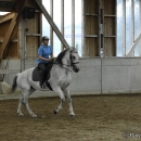 Barockes Reiten mit Richard Hinrichs - Juli 2010
