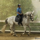 Barockes Reiten mit Richard Hinrichs - Juli 2010