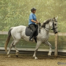 Barockes Reiten mit Richard Hinrichs - Juli 2010