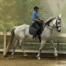 Barockes Reiten mit Richard Hinrichs - Juli 2010