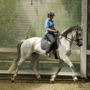 Barockes Reiten mit Richard Hinrichs - Juli 2010