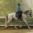 Barockes Reiten mit Richard Hinrichs - Juli 2010