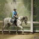 Barockes Reiten mit Richard Hinrichs - Juli 2010