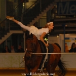 Pferde-Paradies 2006