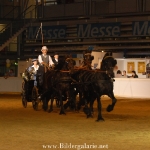 Pferde-Paradies 2006