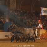Pferde-Paradies 2006