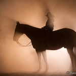 Nebelfotoshooting 2011
