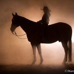 Nebelfotoshooting 2011