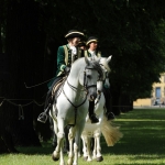 Feuerwerk der Pferde - Herrenhäuser Gärten in Hannover 2012