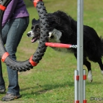 Hunde-Fotoshooting in Imst