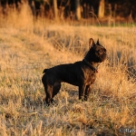 Rosi & Roko