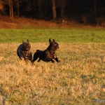 Rosi & Roko