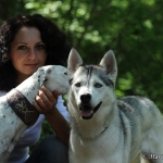 Saphira (Husky) und Dana (Galgo)