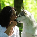 Saphira (Husky) und Dana (Galgo)