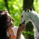 Saphira (Husky) und Dana (Galgo)