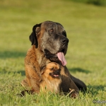 Kasati und Enzo