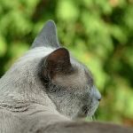 C2004-09-19-0012