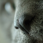 C2004-12-27-0014