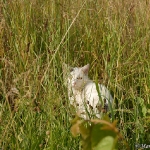 C2007-06-24-8001