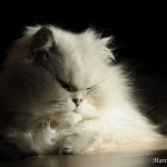 ..in der Sonne