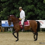 Barockes Reiten in Sulgen CH