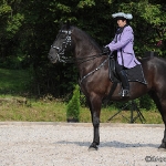 Festa Portuguesa 2010 - Weis Lusitanos