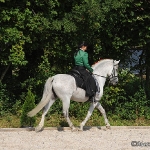Festa Portuguesa 2010 - Weis Lusitanos
