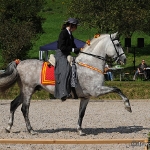 Festa Portuguesa 2010 - Weis Lusitanos