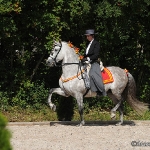 Festa Portuguesa 2010 - Weis Lusitanos